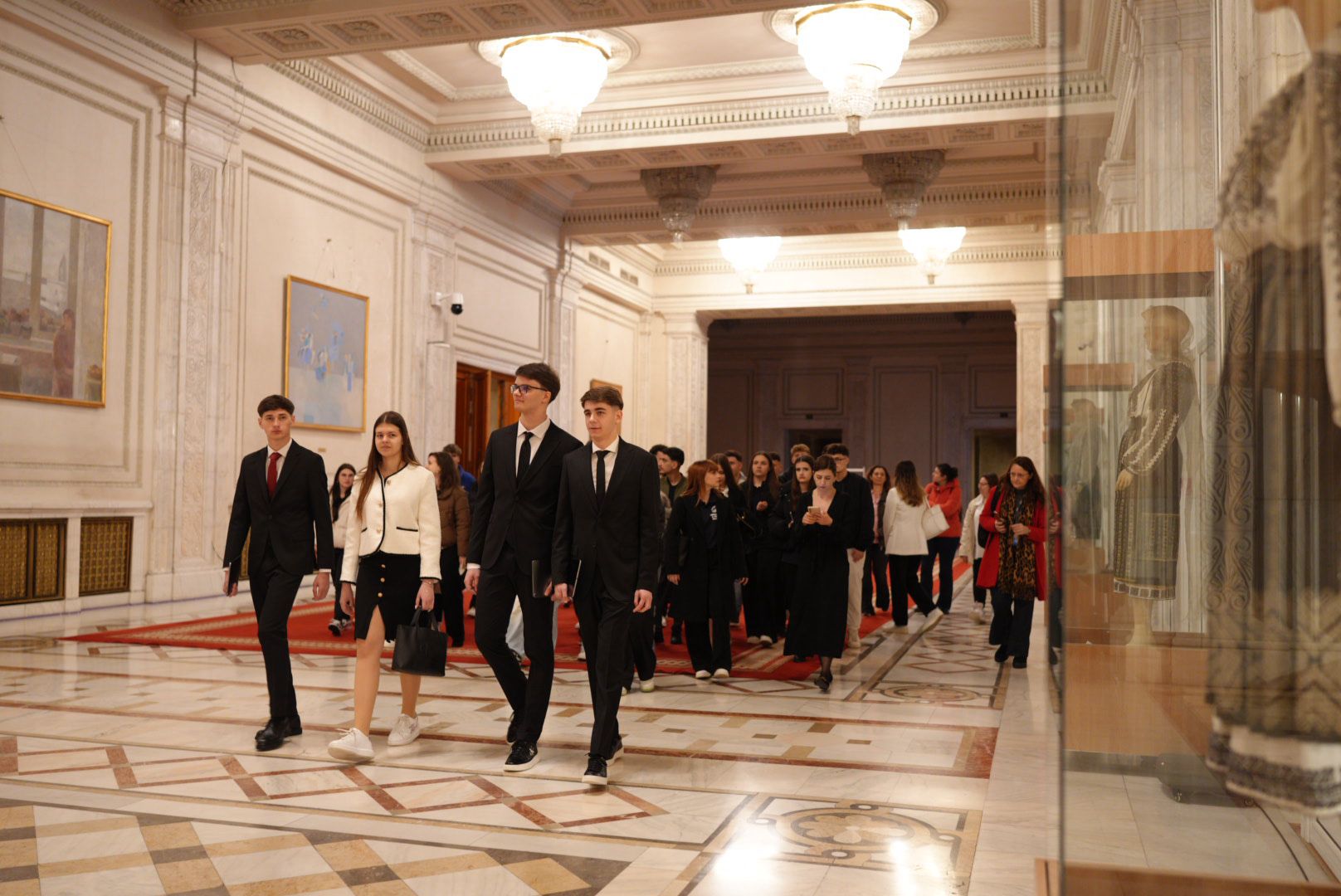 CLT Alexandria - instalație